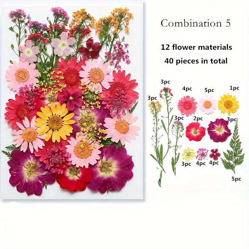 Dried Pressed Flower Set for Crafts and DIY Art Projects for Adults Mixed Color