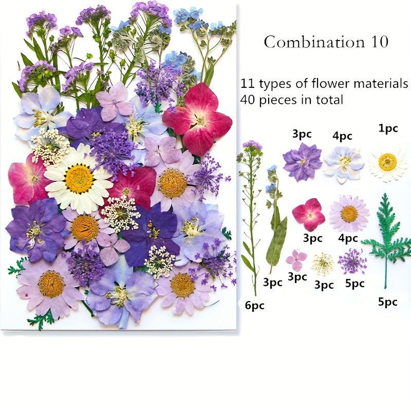 Dried Pressed Flower Set for Crafts and DIY Art Projects for Adults Mixed Color