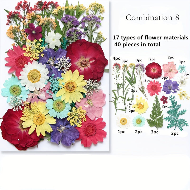 Dried Pressed Flower Set for Crafts and DIY Art Projects for Adults Mixed Color