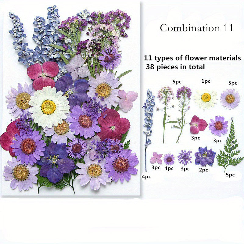 Dried Pressed Flower Set for Crafts and DIY Art Projects for Adults Mixed Color