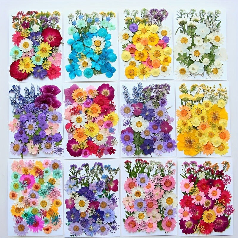 Dried Pressed Flower Set for Crafts and DIY Art Projects for Adults Mixed Color