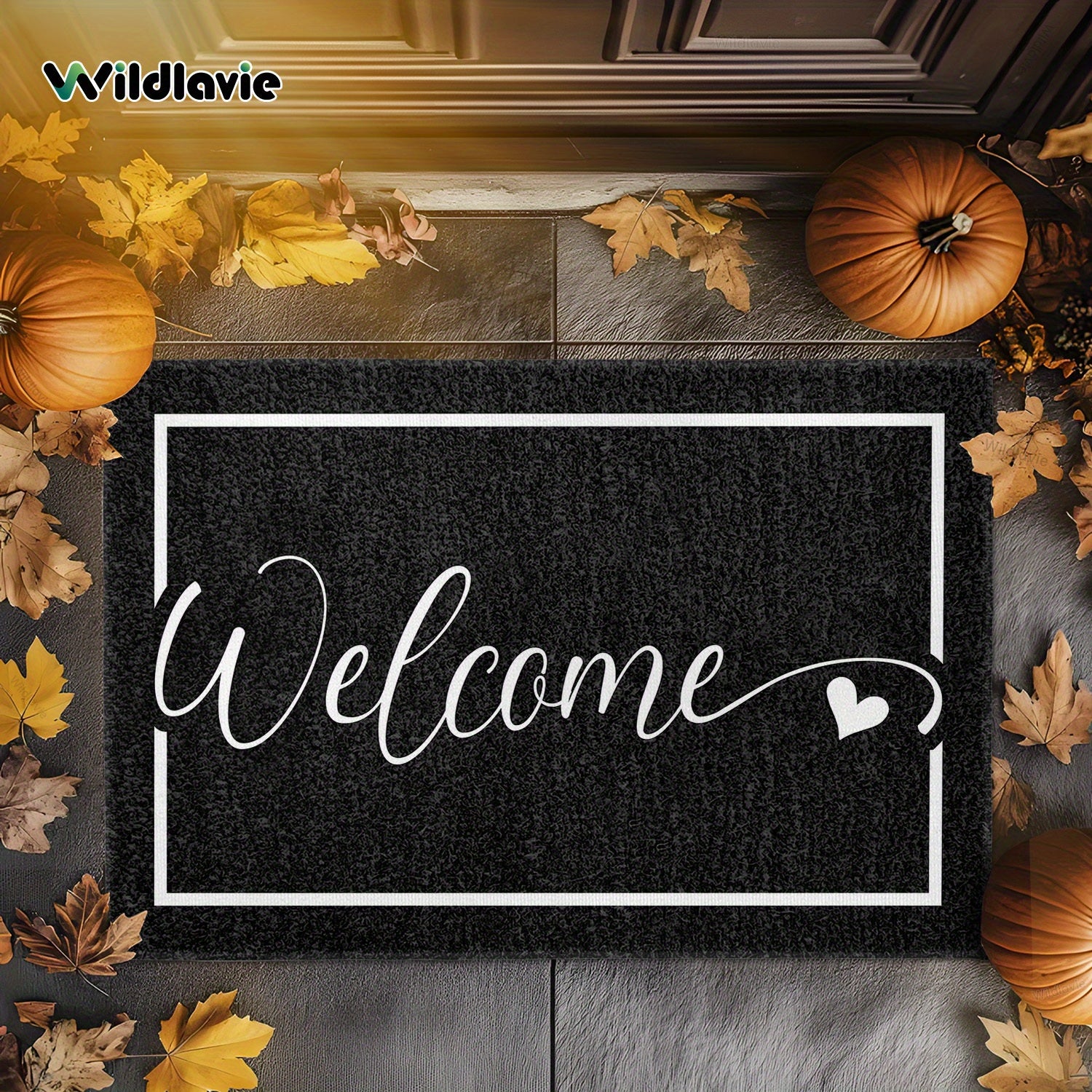 Welcome Mat Non-Slip Easy Clean Entryway Rug for Bathroom Kitchen Patio