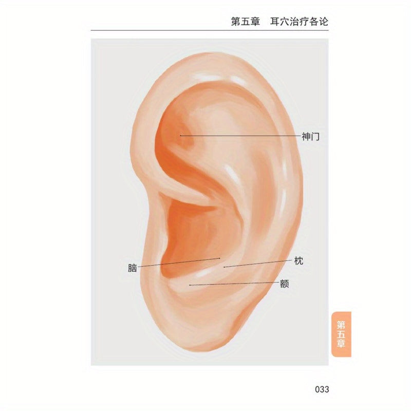 Quick Reference Guide on Auricular Acupuncture Therapy for Headache and Dizziness Prevention in Chinese Healthcare