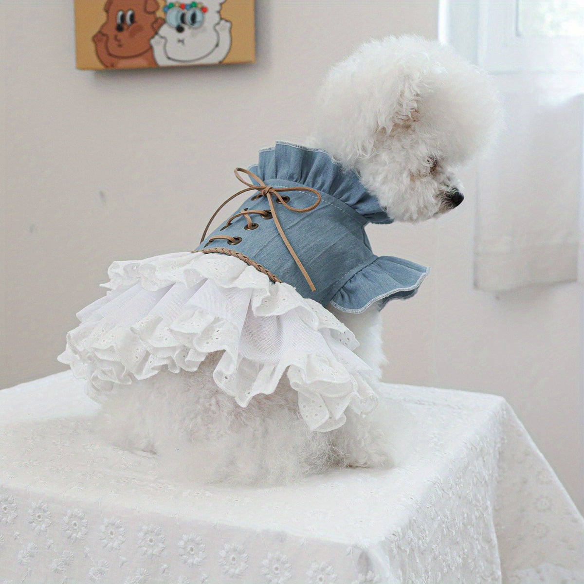 Small Dog Cat Denim Dress Blue White Fur Ruffled Lace Autumn Winter Pet Clothing
