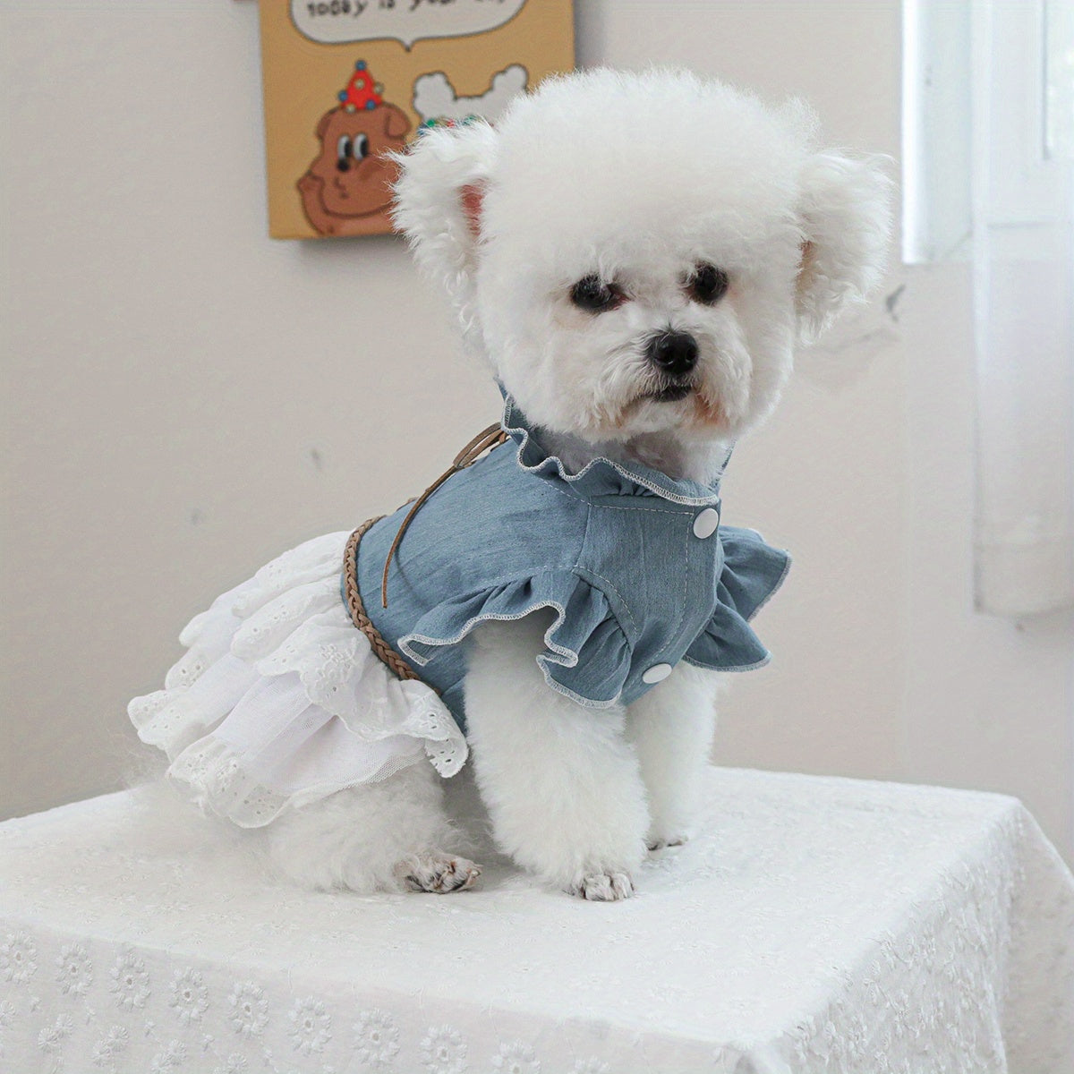 Small Dog Cat Denim Dress Blue White Fur Ruffled Lace Autumn Winter Pet Clothing