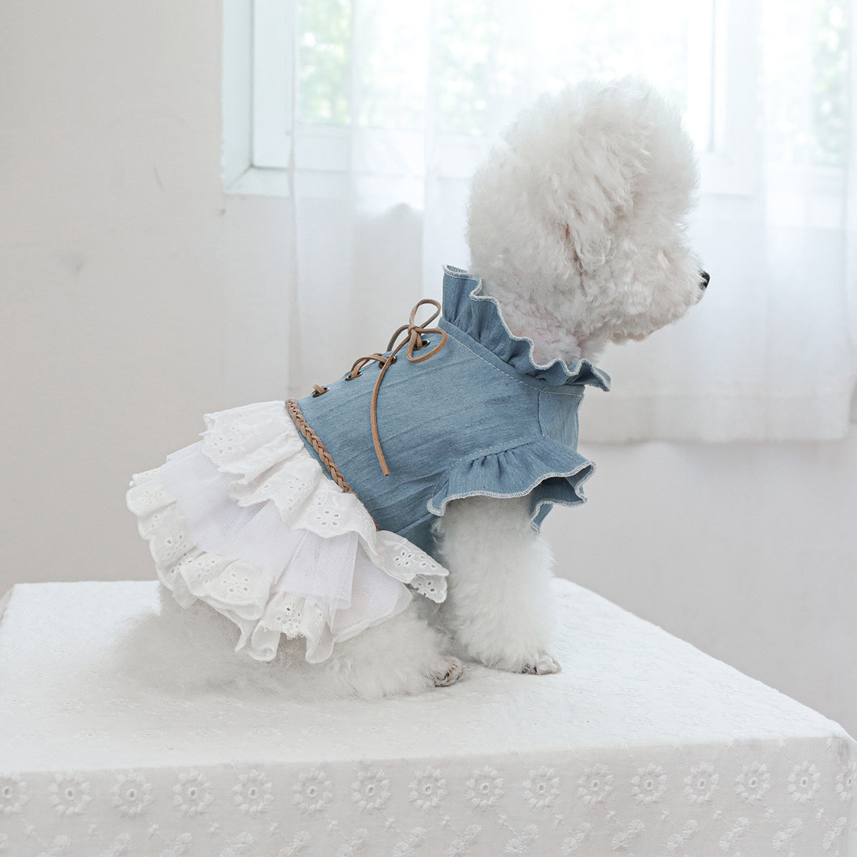 Small Dog Cat Denim Dress Blue White Fur Ruffled Lace Autumn Winter Pet Clothing