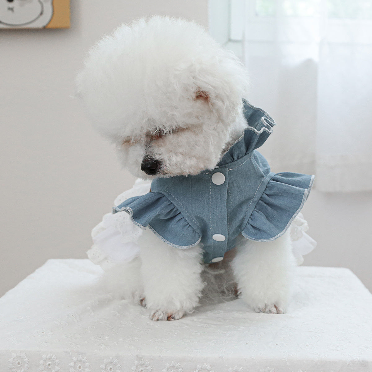 Small Dog Cat Denim Dress Blue White Fur Ruffled Lace Autumn Winter Pet Clothing