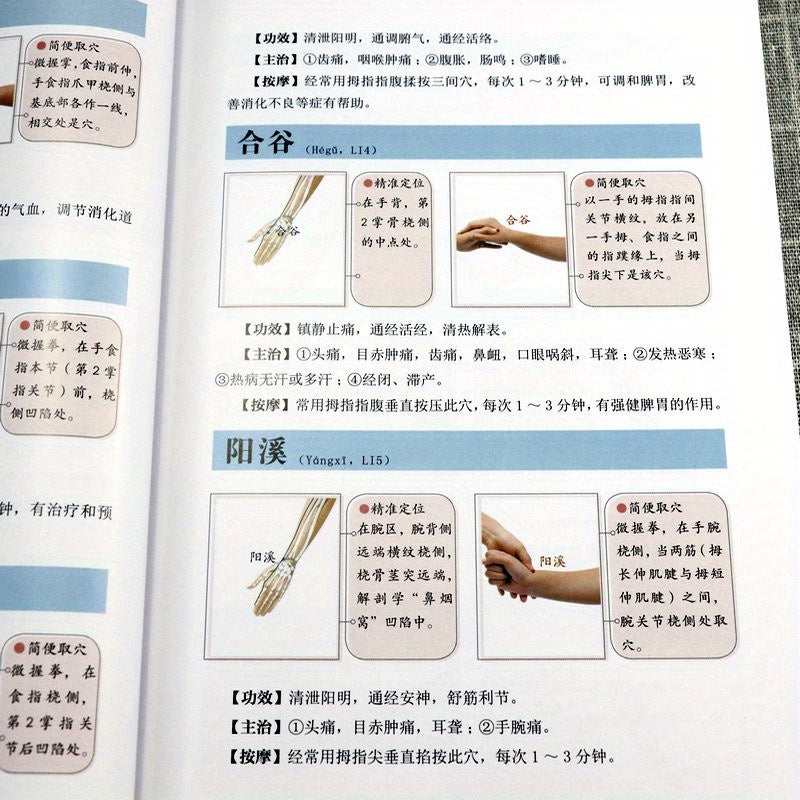 Chinese Language Acupuncture Points and Meridians Book for Beginners