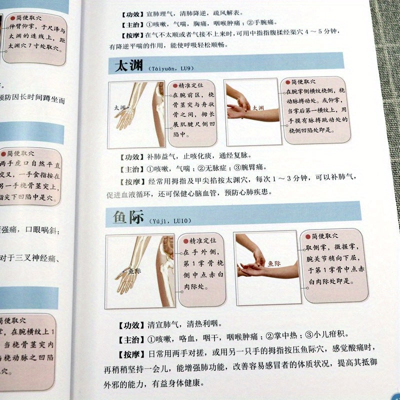 Chinese Language Acupuncture Points and Meridians Book for Beginners