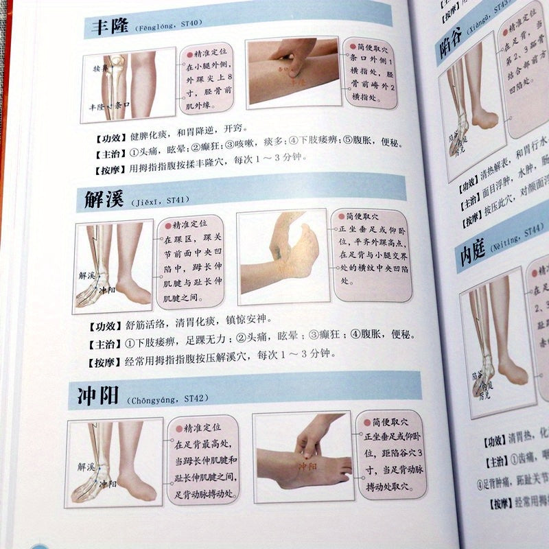 Chinese Language Acupuncture Points and Meridians Book for Beginners