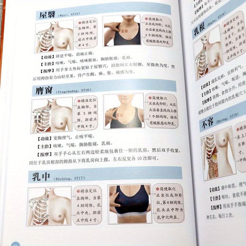 Chinese Language Acupuncture Points and Meridians Book for Beginners
