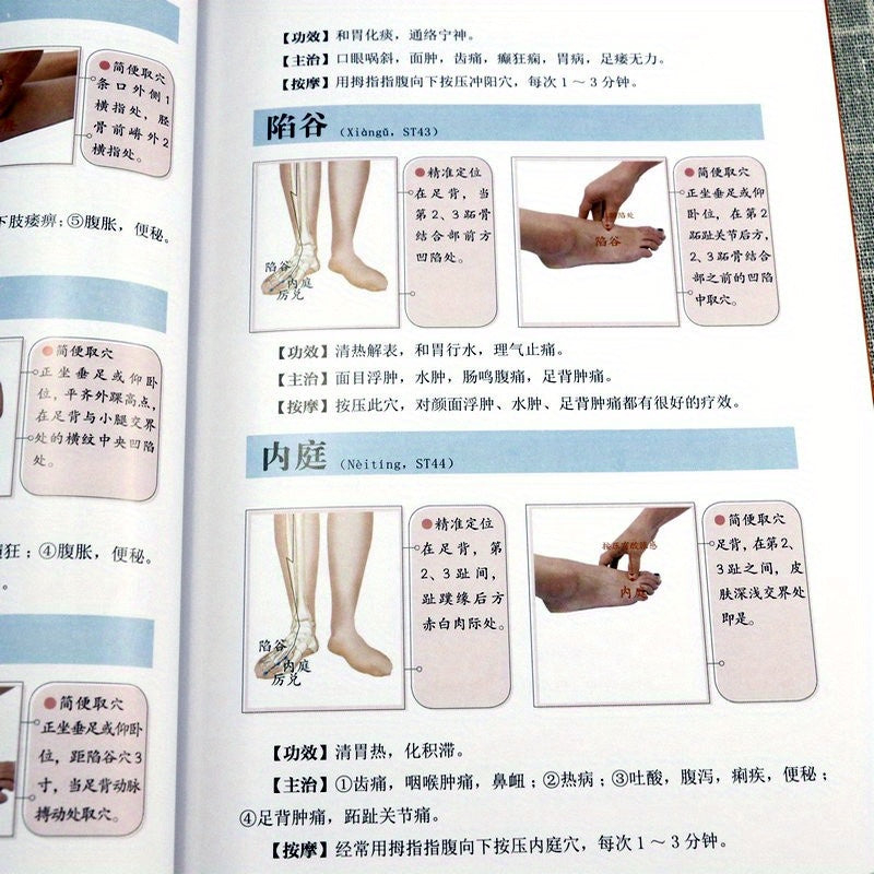 Chinese Language Acupuncture Points and Meridians Book for Beginners