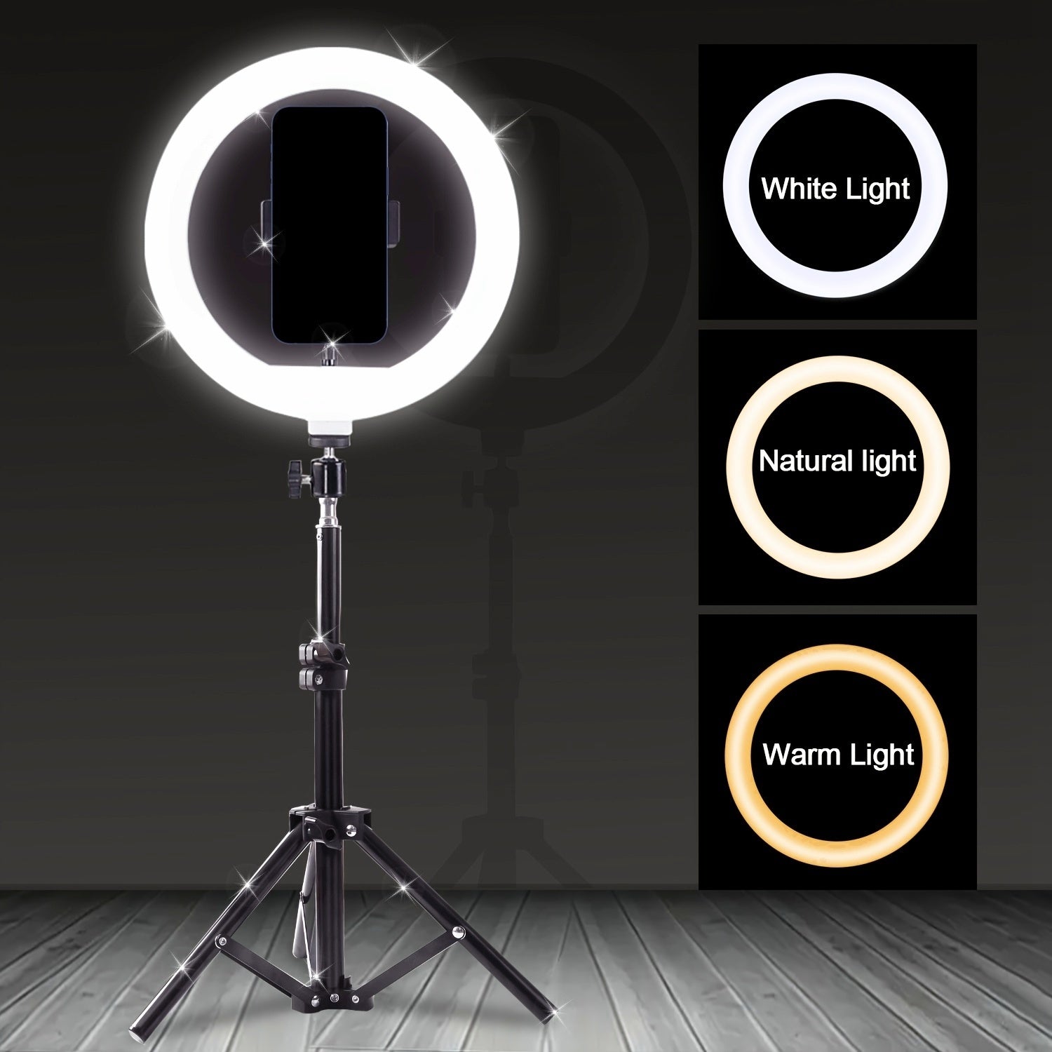 10 Inch LED Ring Light Kit with Tripod Stand for Selfies Live Streaming Photography and Makeup