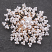 Luxury Rhinestone Pearl Brooch Irregular Shape Wedding Party Accessory