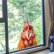 Funny Chicken Head Window Cling Glam Style Waterproof PVC Home Decor