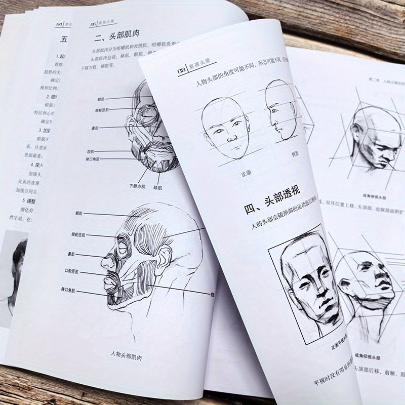 Basic Techniques for Drawing Head Portraits Art Book Chinese Version