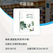 Té verde chino Mengku hoja grande Regreso del norte Joya