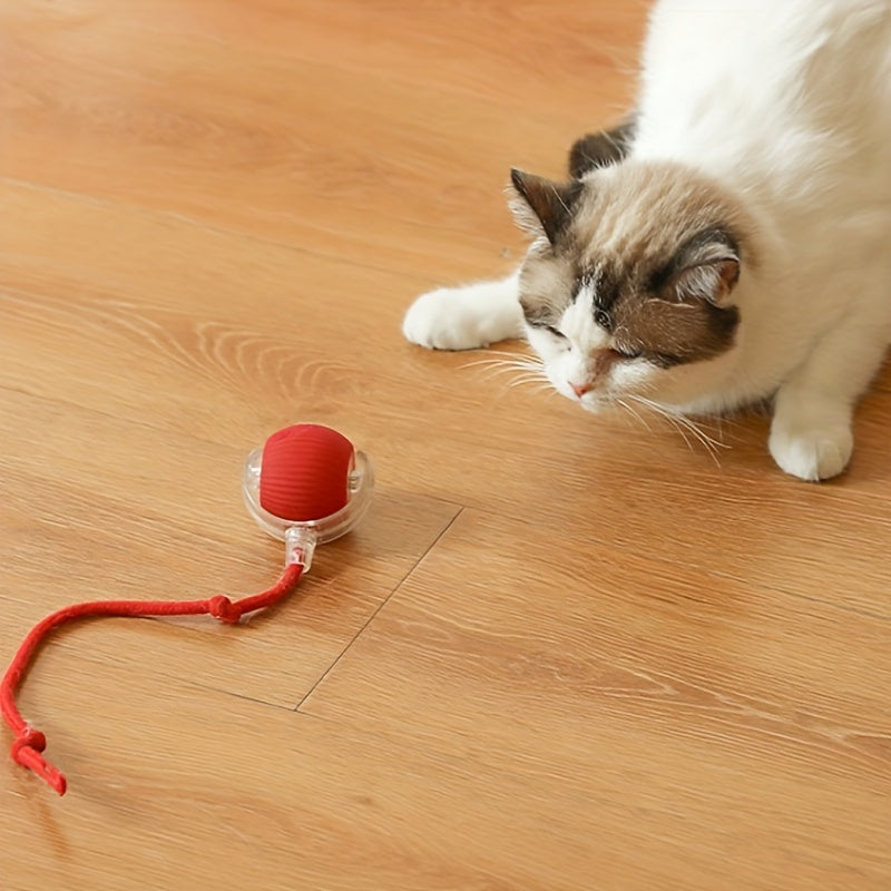 Interactive Cat Toy USB Rechargeable Long Tail for All Breeds
