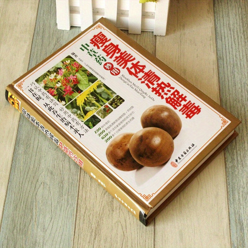 Simplified Chinese Hardcover Book on Traditional Chinese Medicine for Slimming and Detox