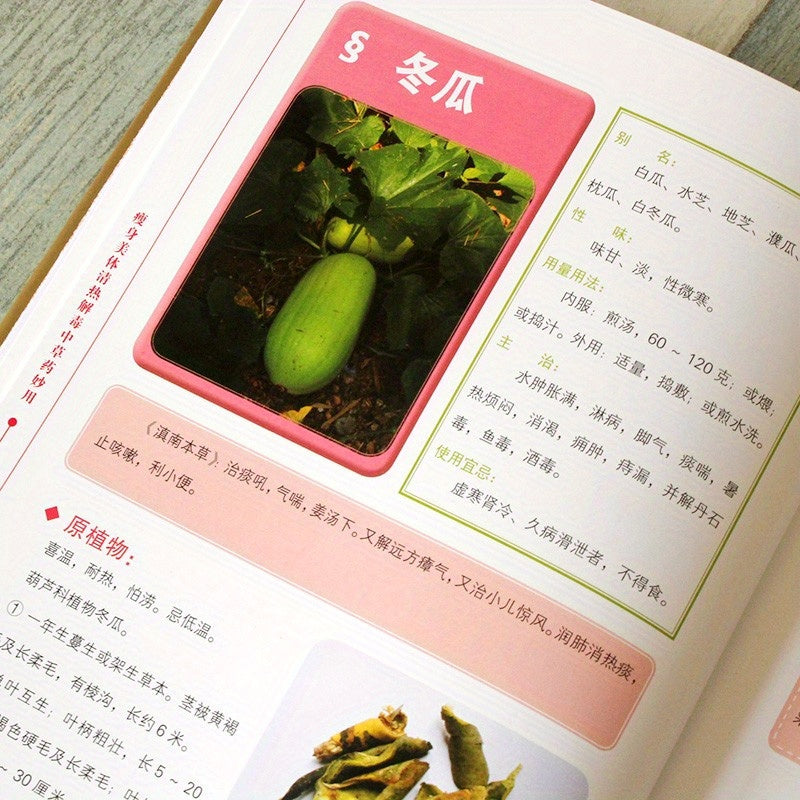 Simplified Chinese Hardcover Book on Traditional Chinese Medicine for Slimming and Detox