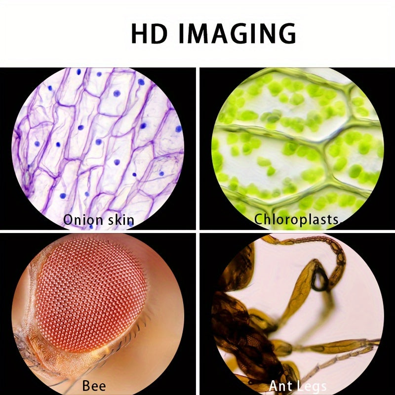 Kids LED Handheld Microscope Set 60X-160X Magnification STEM Educational Toy