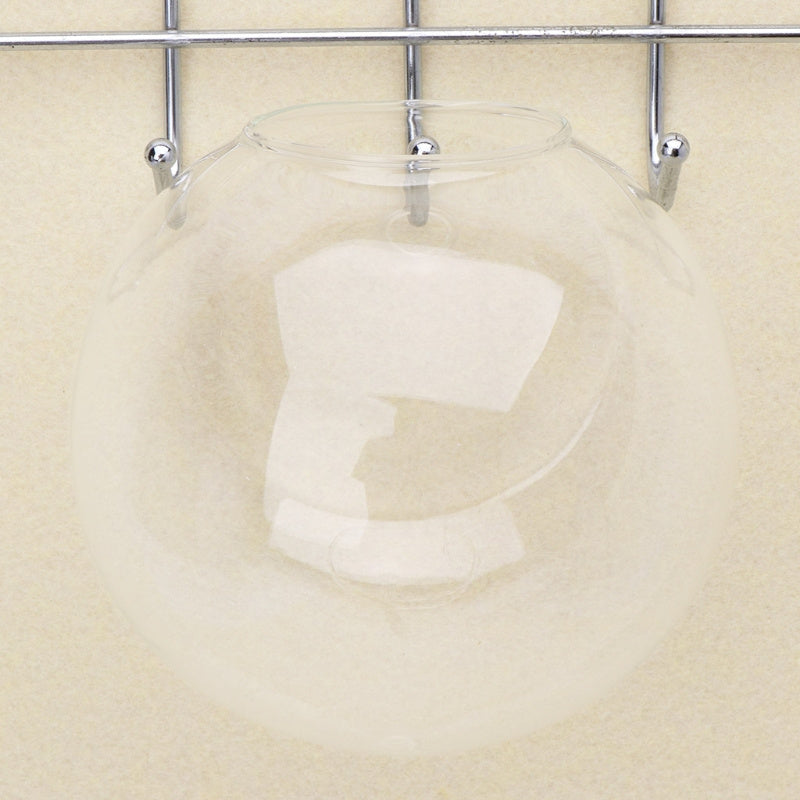 Transparent Glass Wall Hanging Vase Oval Hydroponic Terrarium Indoor Outdoor Plant Fish Tank