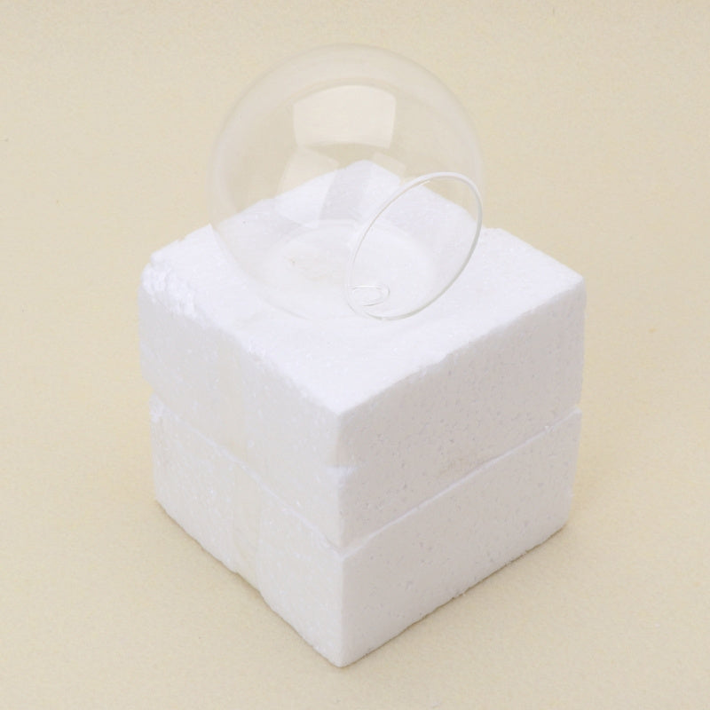 Transparent Glass Wall Hanging Vase Oval Hydroponic Terrarium Indoor Outdoor Plant Fish Tank