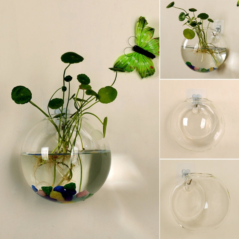 Transparent Glass Wall Hanging Vase Oval Hydroponic Terrarium Indoor Outdoor Plant Fish Tank