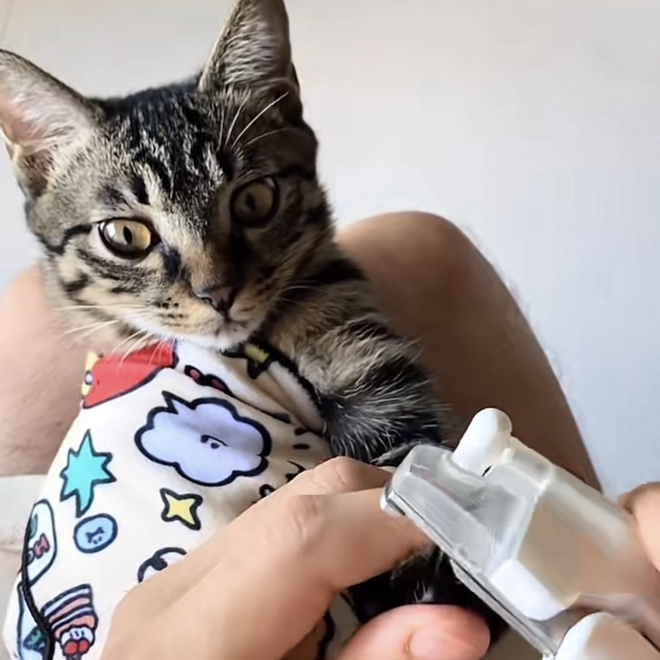 Polyester Cat Grooming Wrap for Ear Cleaning Nail Trimming Storage Organization