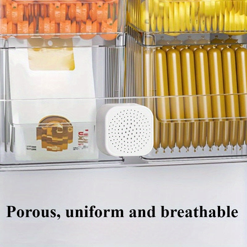 Activated Carbon Odor Eliminator Pack of 6 Non-Electric Air Purifier for Refrigerator Kitchen Bedroom Wardrobe