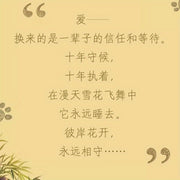 Bilingual Children's Book Hachiko Chinese-English Edition for Primary and Junior High School Students Gift Festival