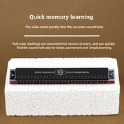 Губная гармошка с двойным рядом на 28 отверстий с латунными пластинами, полированным металлическим футляром для музыкантов и студентов