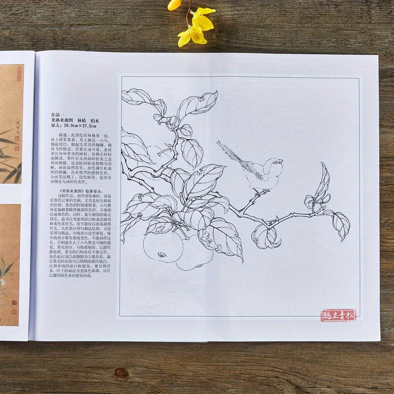Chinese Painting Techniques Book for Art Students Song Dynasty Bird and Flower Sketches White Outline Drafts Color Examples Paperback