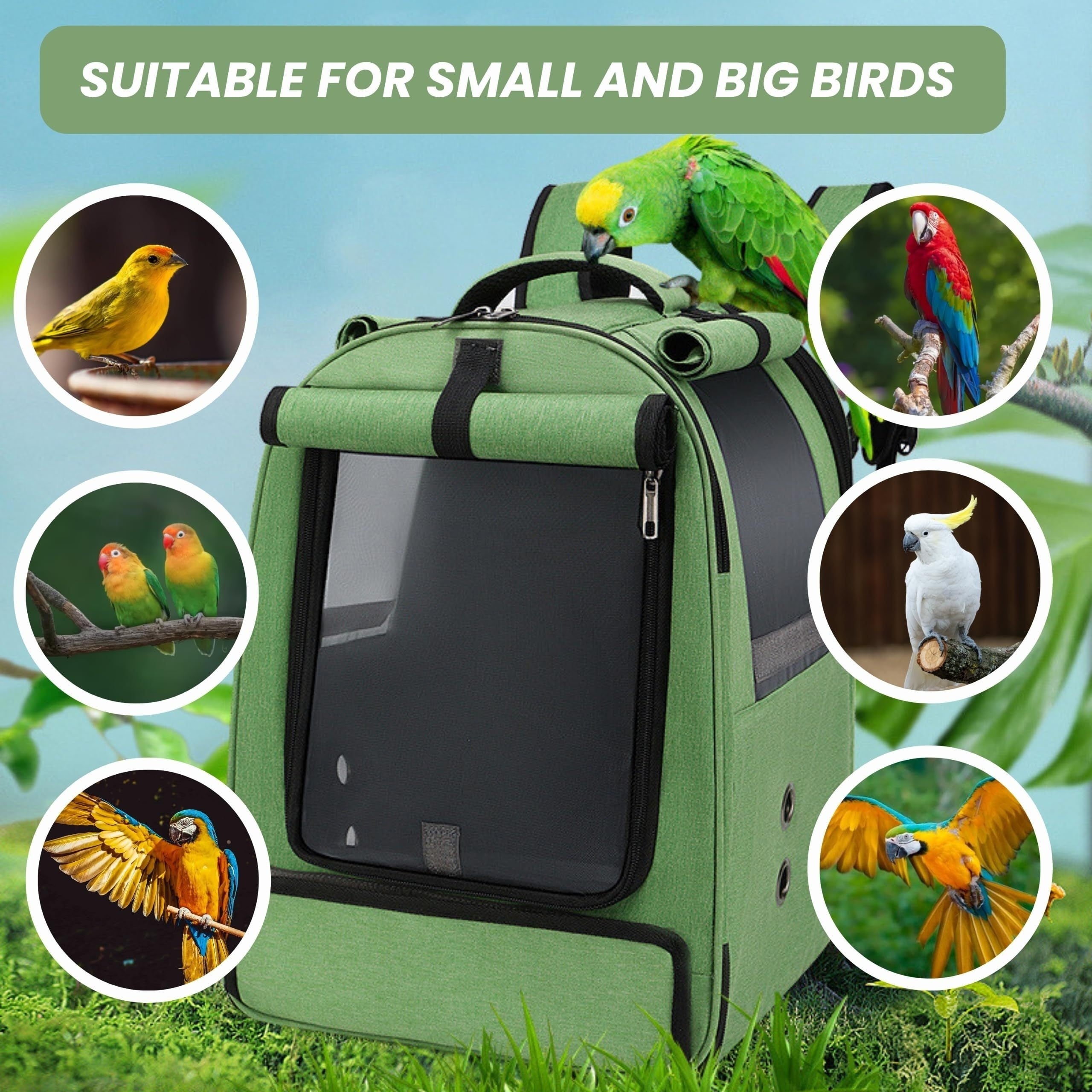 Portable Bird Travel Carrier for Parrots and Large Birds with Mesh and Accessories