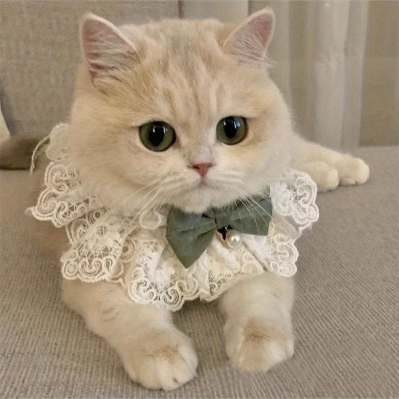 Collar para gata princesa con lazo y encaje, accesorio para mascotas de poliéster para decoración fotográfica