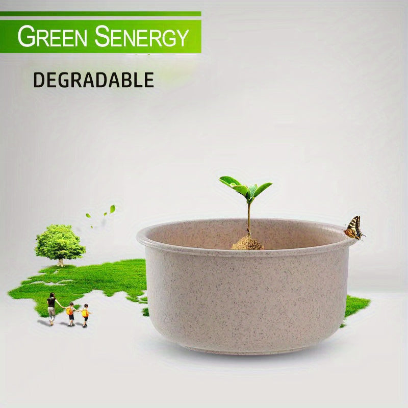 3 ta bug'doy donasi qattiq oziq-ovqat saqlash idishlari, mikroto'lqinli pechga mos, qopqog' bilan, mevalar, sabzavotlar, quruq oziq-ovqatlar uchun