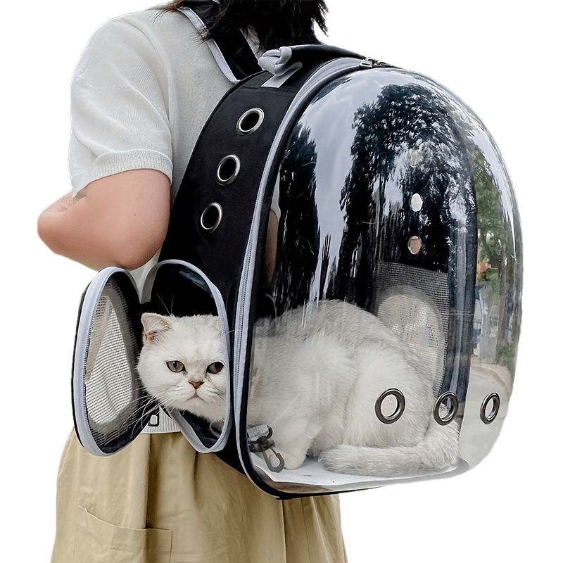 Clear Acrylic Cat Backpack Carrier with Zipper and Breathable Mesh for Travel
