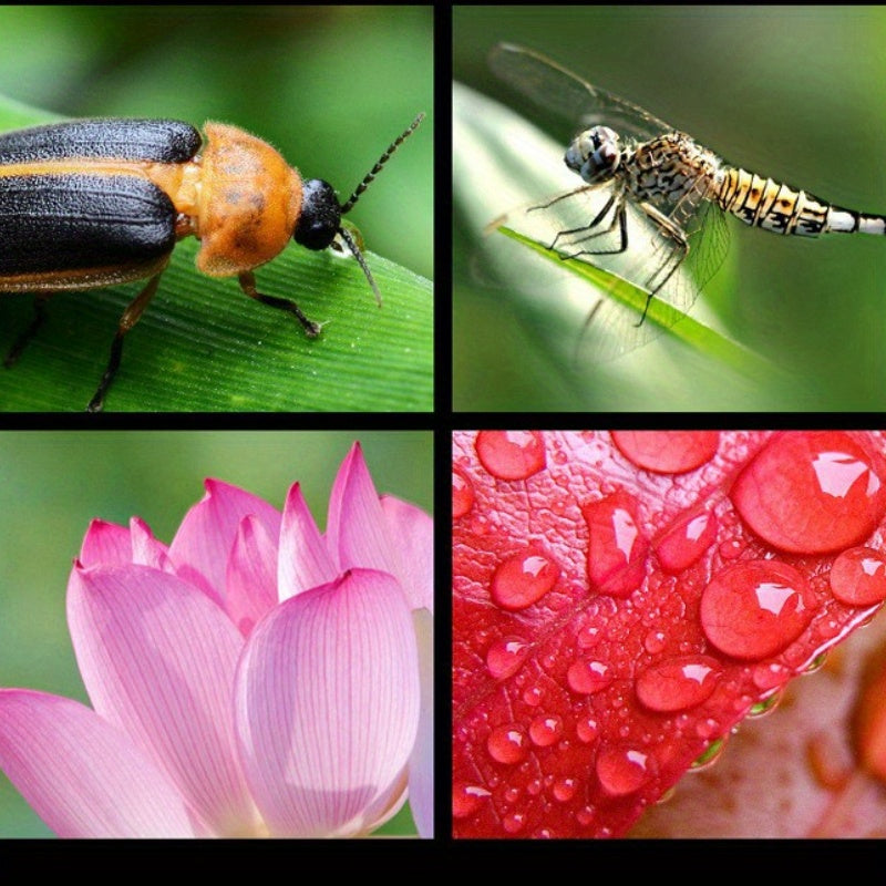 Ultra-Wide Angle Macro Lens for Smartphones and Cameras with Optical Zoom and Accessories