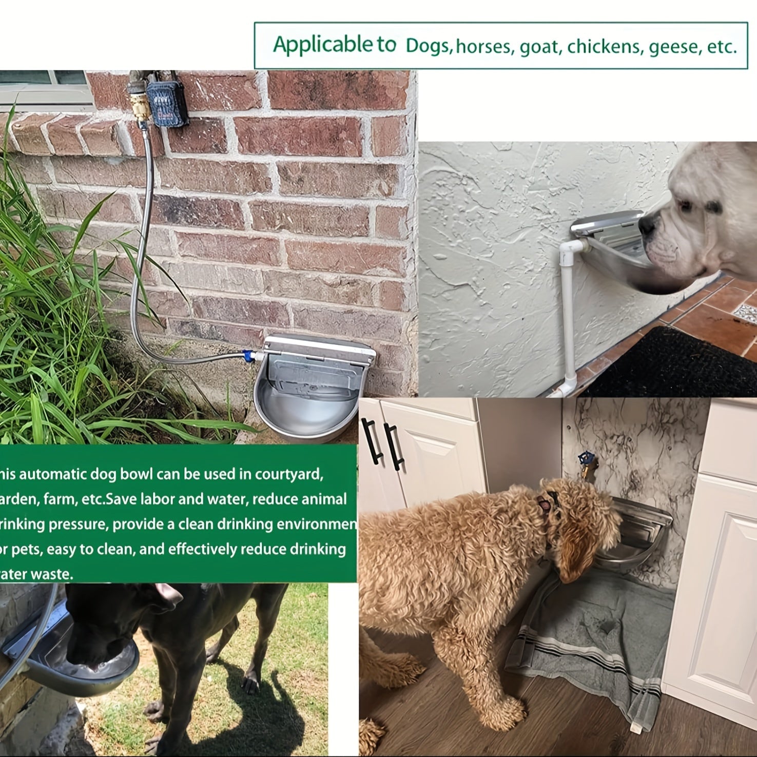 Katta sig'imli zanglamas po'latdan yasalgan avtomatik uy hayvonlari uchun suv idishi, suzuvchi valf va drenaj bilan, otlar, sigirlar, qo'ylar va itlar uchun mos. Mustahkam va batareyalarni talab qilmaydi.