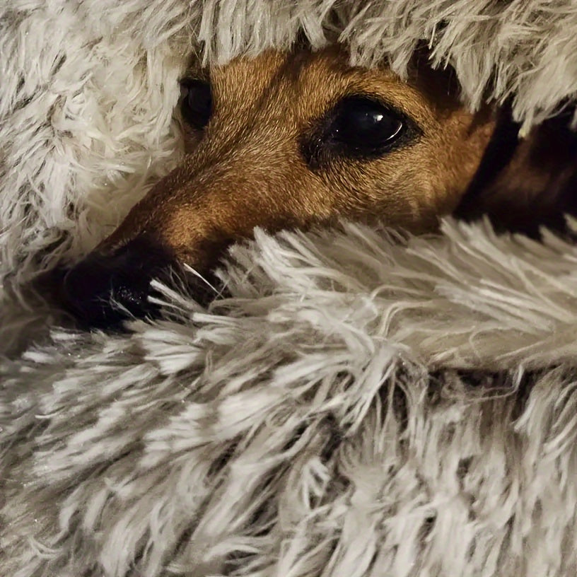 Yumshoq, iliq va qulay mushuk yotoqchasi zamonaviy dizaynga ega, barcha fasllar uchun mos, mushuklar va kichik uy hayvonlari uchun mukammal.