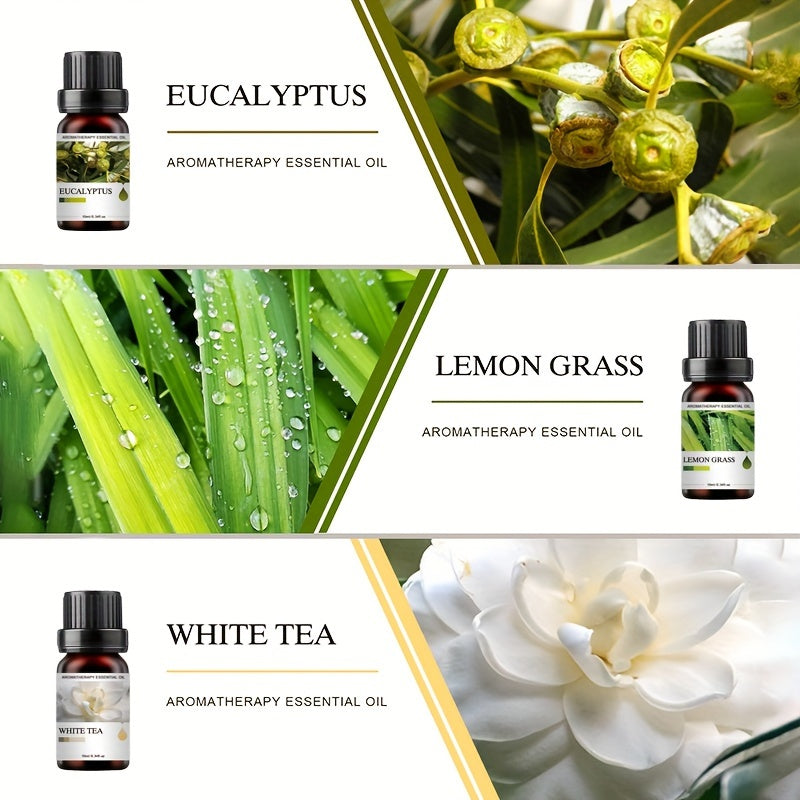 Juego de 5 aceites esenciales de 10ML de tapa plana para difusores, velas y aromaterapia