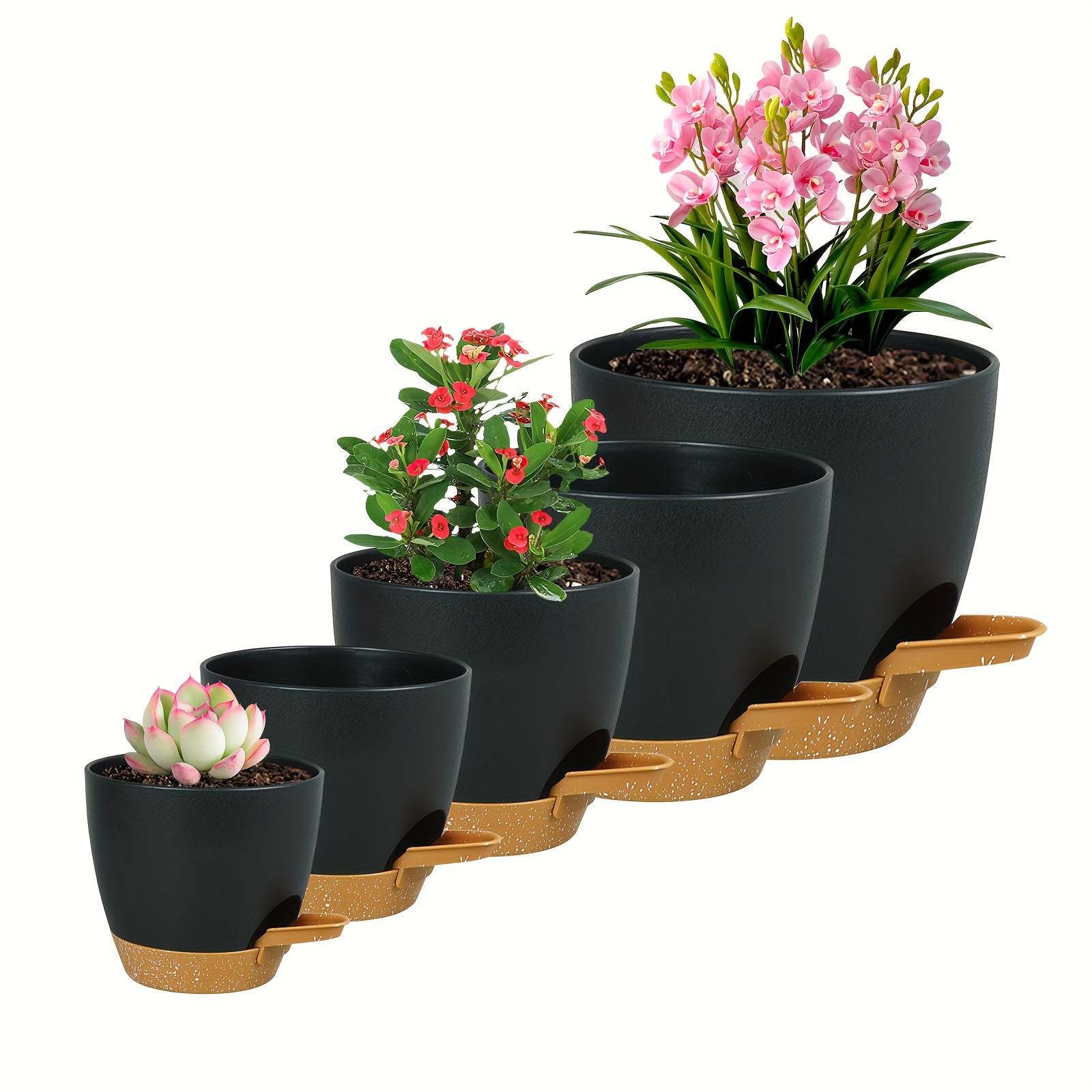 Olisx o'z-o'zini sug'oradigan o'simlik idishlari 5 o'lchamda mavjud bo'lib, ko'plab bog'dagi o'simliklar uchun ideal, sukulentlar va Afrika violetlari uchun minimalist dizaynga ega.