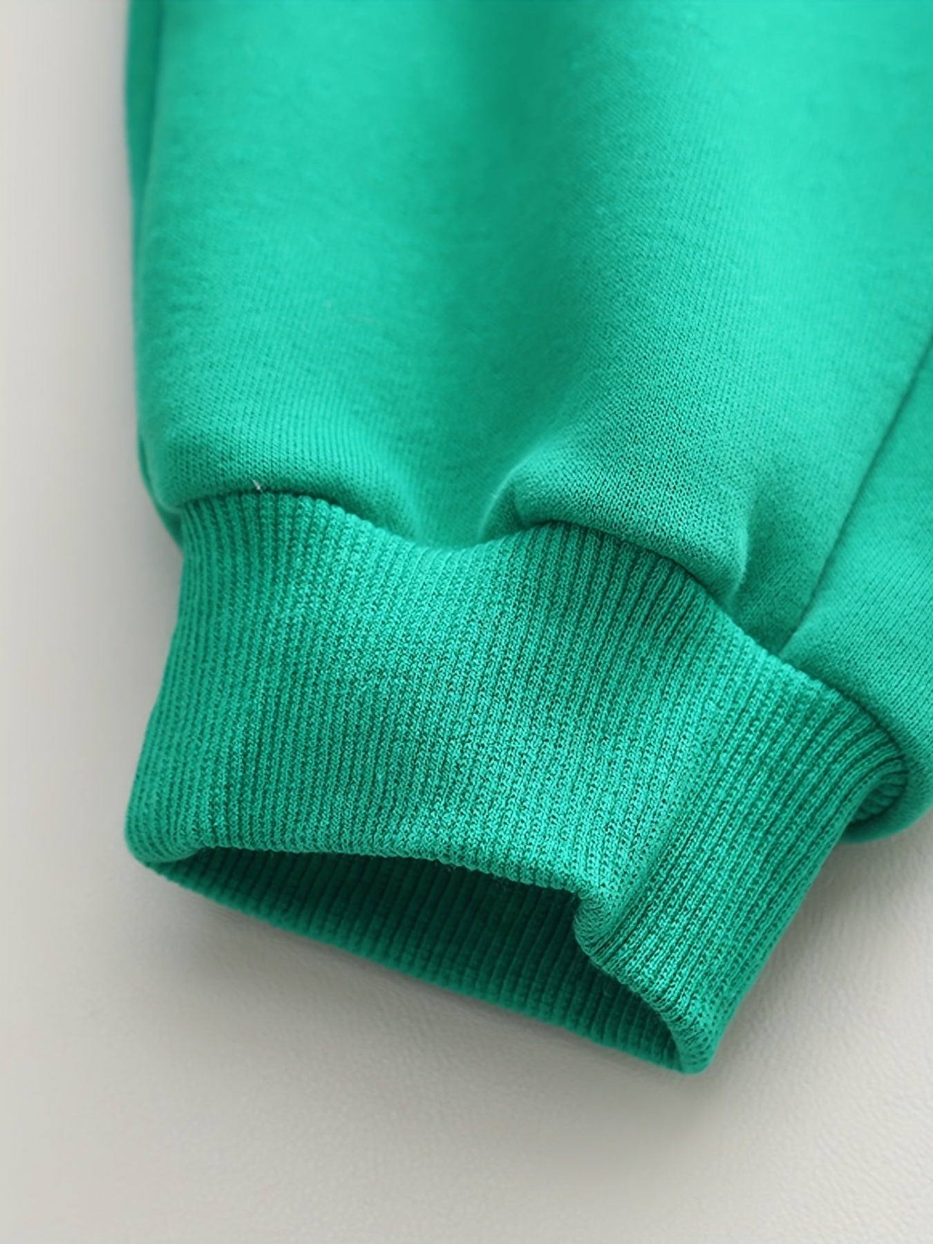 Boys Sports Casual Outfit Set with Zip-Up Stand Collar Sweatshirt and Pants