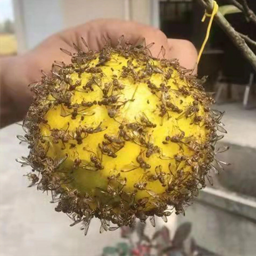 Paquete de 2 trampas multiusos para insectos de la fruta para cocina, jardín y cítricos