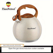 Stainless Steel Tea Kettle 1.7L 3L No Electricity Open Fire Gas Stove