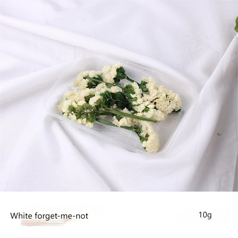 Бохо-Шик Рождественский Набор для Ремесел: Натуральный Растительный Декор для DIY Проектов, Венков и Подарков