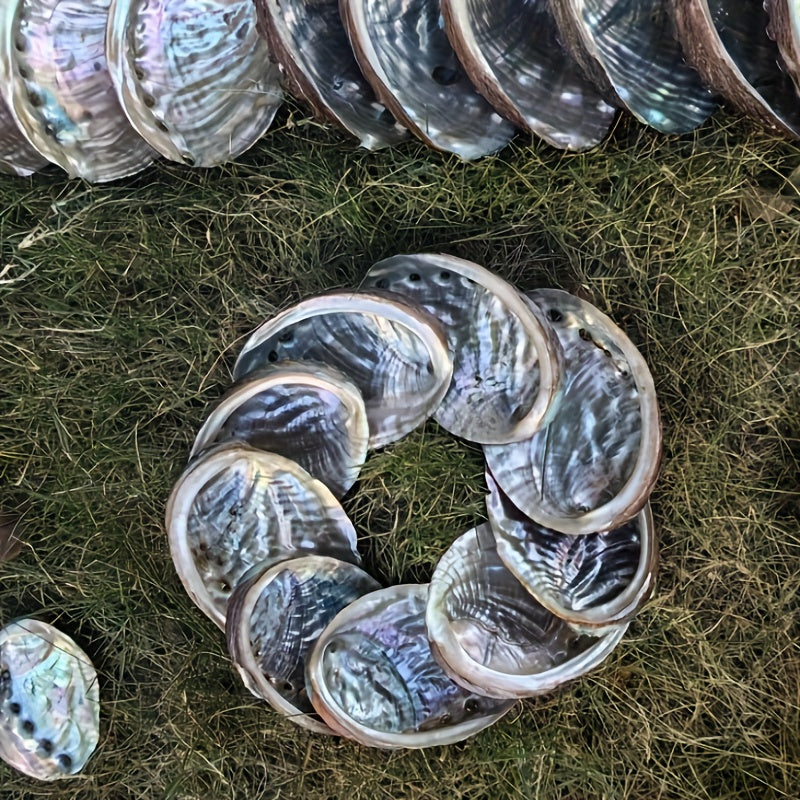 Large Abalone Shell Bowl for Smudging 9.65-11.94 cm