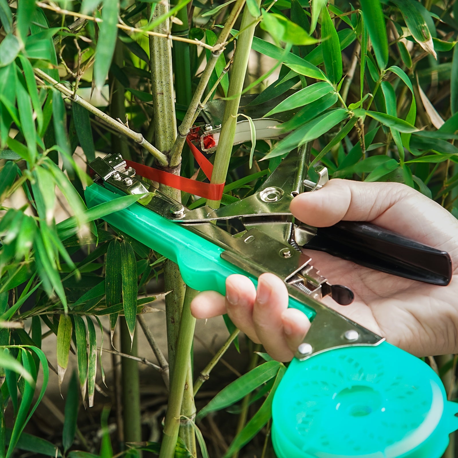 Garden Plant Support Tool Set for Vines and Stems with 10 Tape Rolls