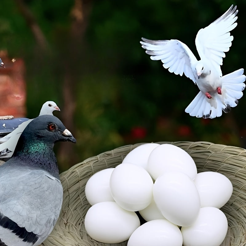 10Pcs Plastic Fake Pigeon Eggs Lead Eggs for Breeding and Training