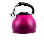 Stainless Steel Whistling Tea Kettle Gradient Design for Gas and Induction Stoves